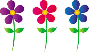illustration of colorful flowers