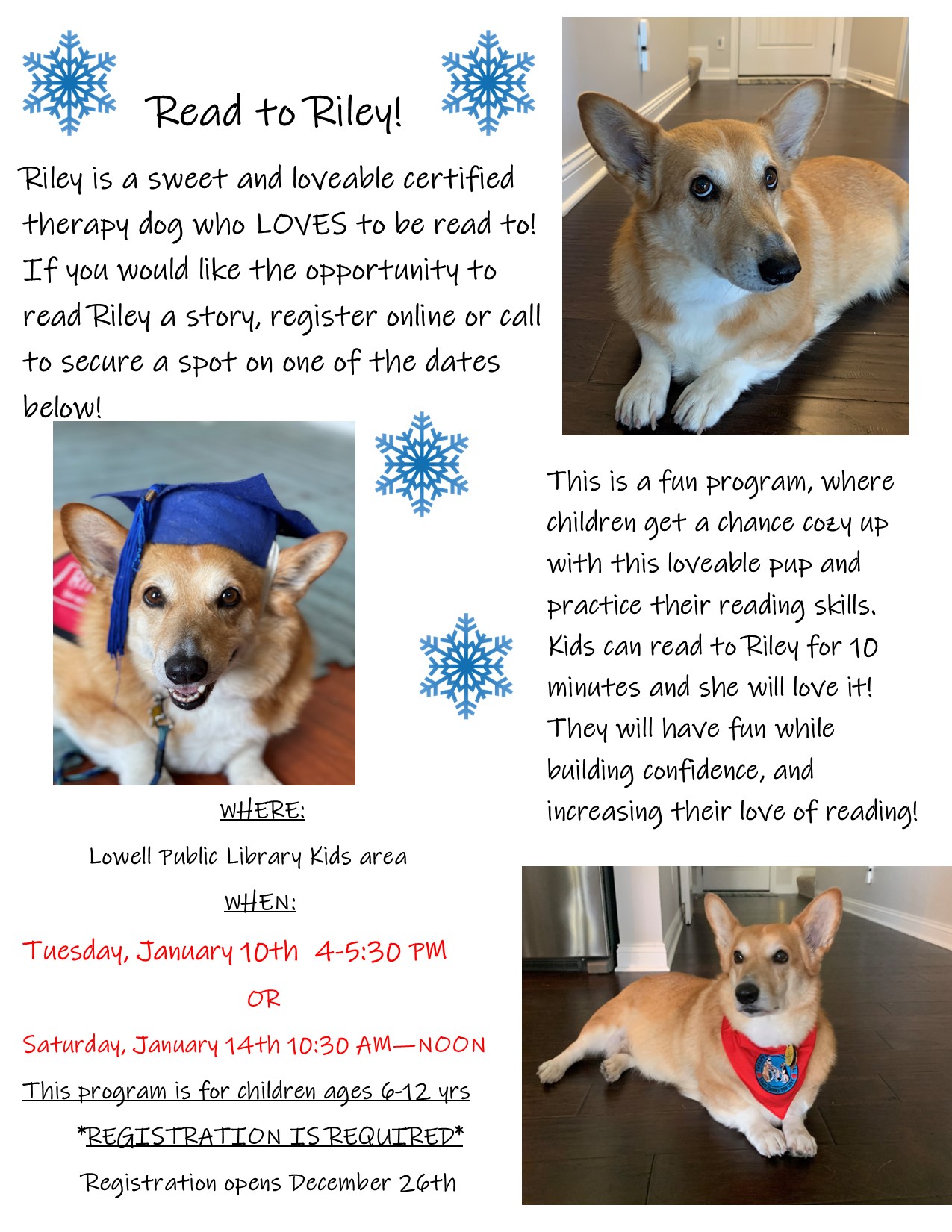 therapy dog program flyer