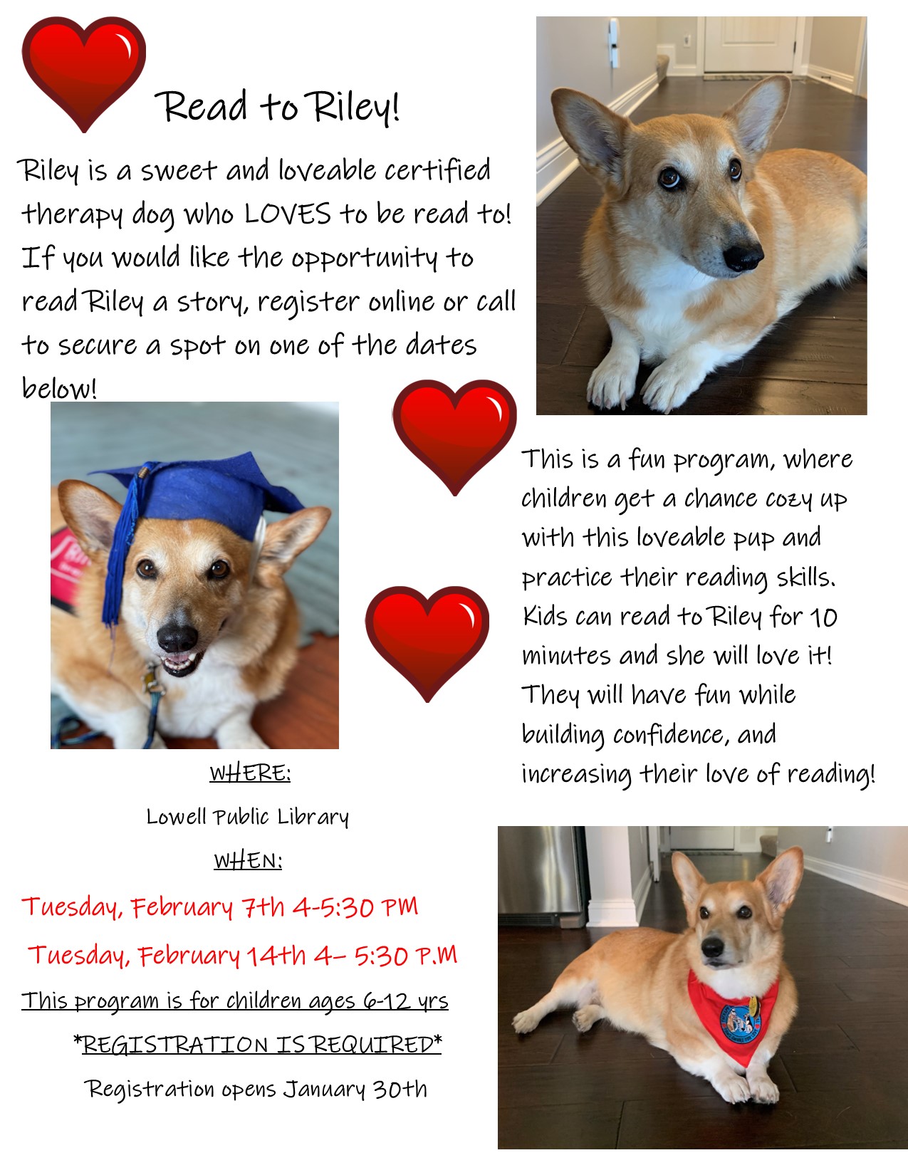 therapy dog program flyer