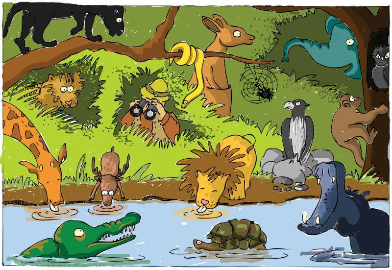 illustrated scene of an explorer watching jungle animals by a river