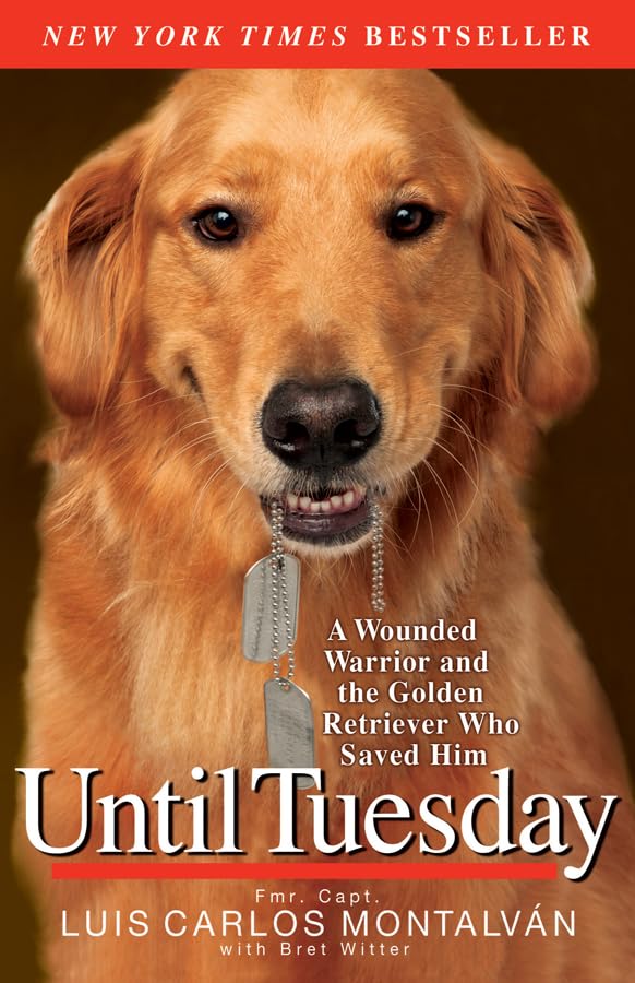 book cover for until tuesday by luis carlos motalvan