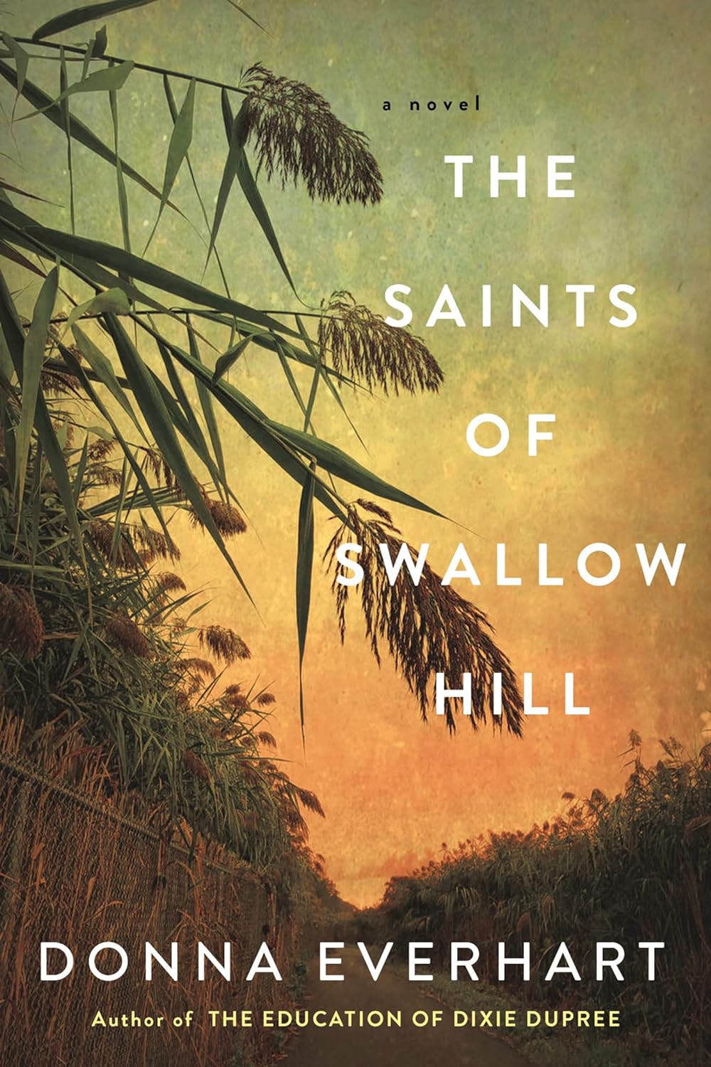 book cover for the saints of swallow hill by donna everhart