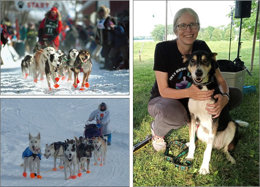Collage of Alaskan Huskies and Musher Karen Land