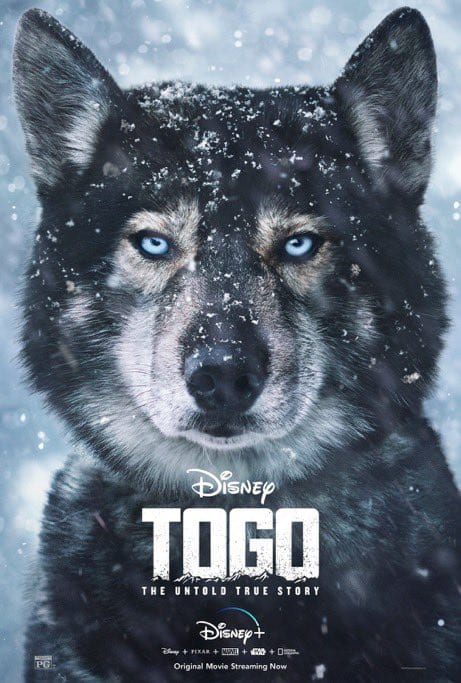 Official Disney's Togo poster with a black & white Siberian Husky looking out in the snow.