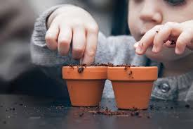child planting seeds into 2 dirt filled terra cotta pots