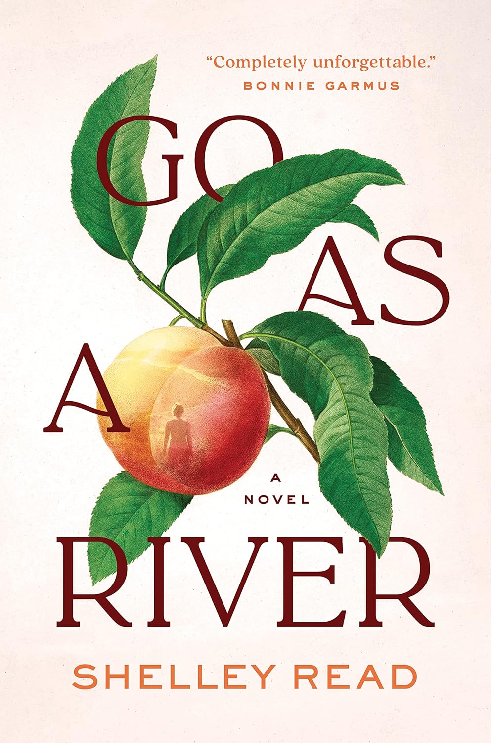 book cover for Go As A River by Shelly Read