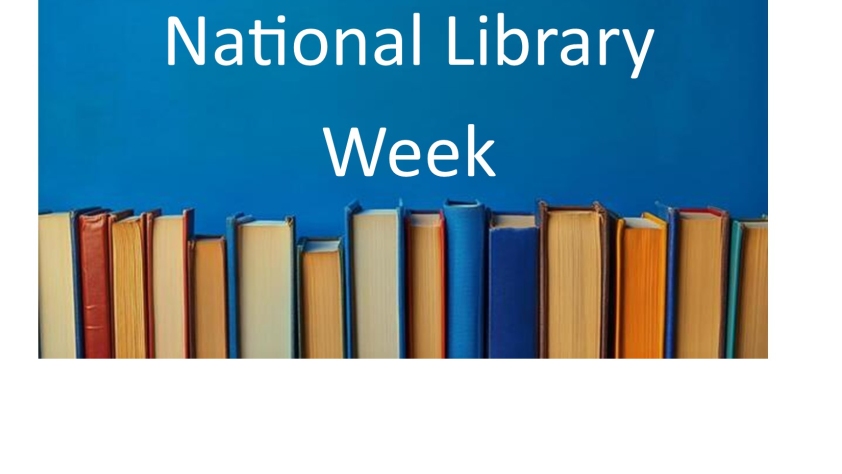 National Library Week with a line of books