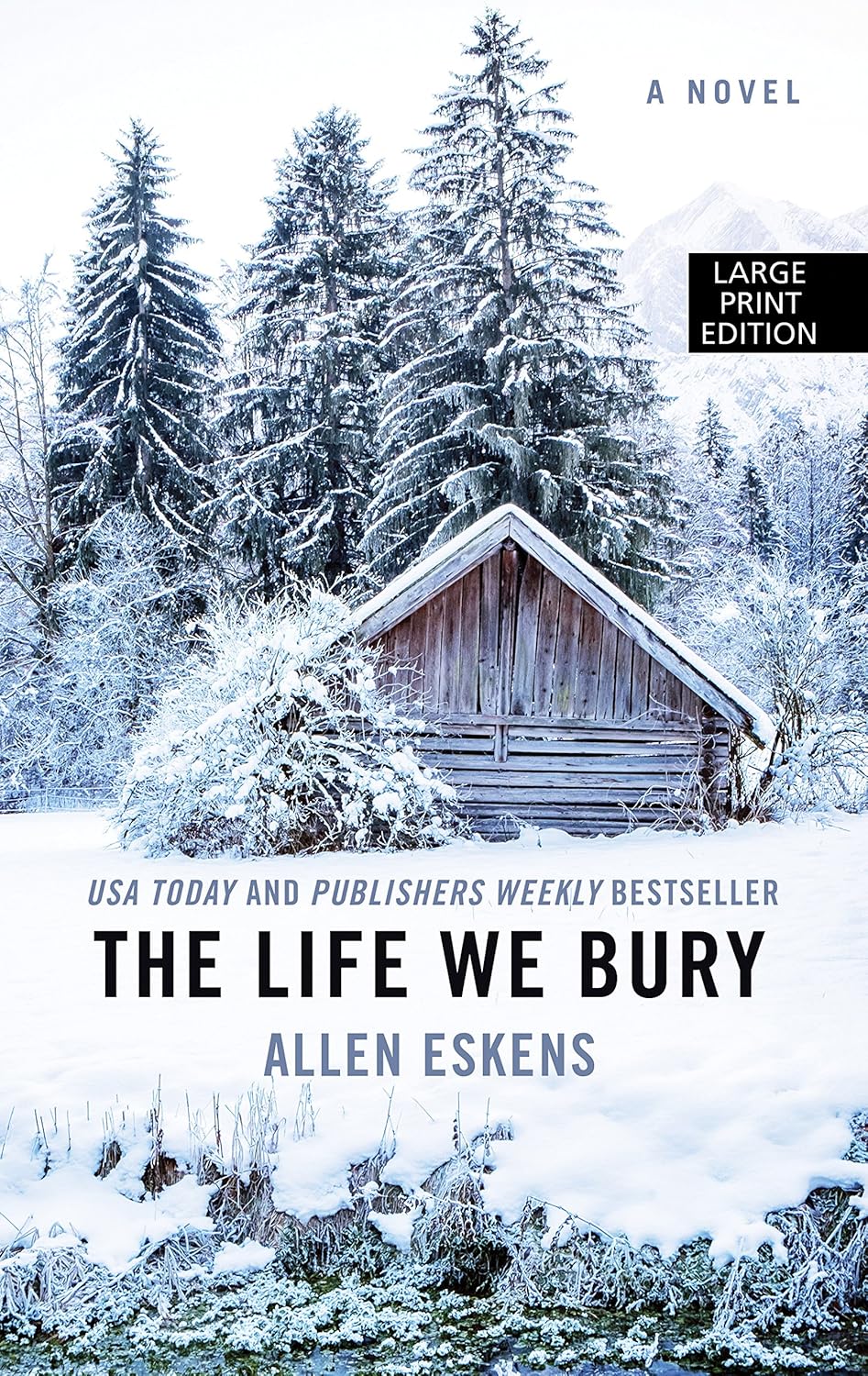 Book Cover of The Life We Bury” written by Allen Eskens. Cover is a winter scene with a log cabin and trees