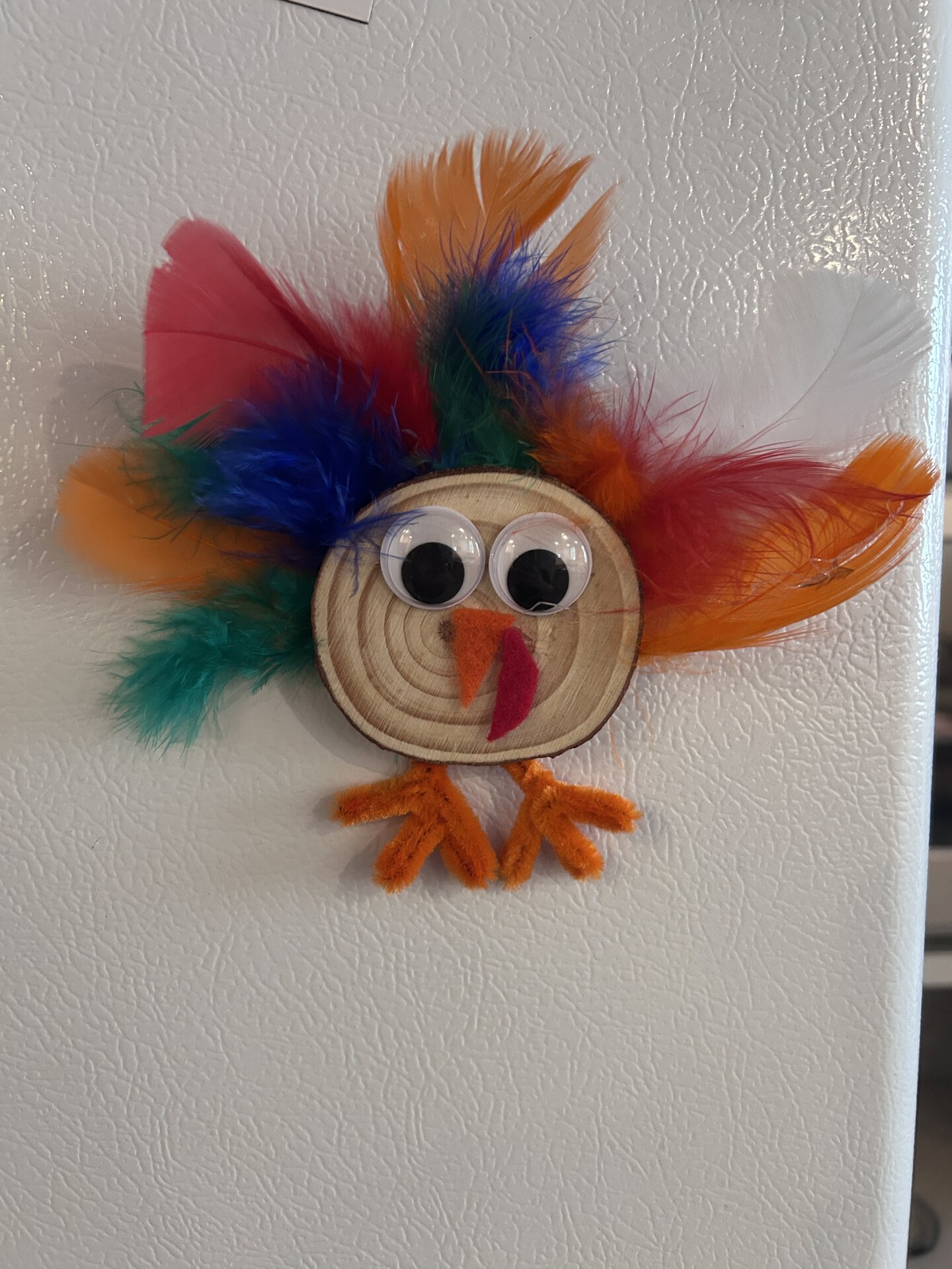 turkey magnet made using feathers, googly eyes, and a wood slice